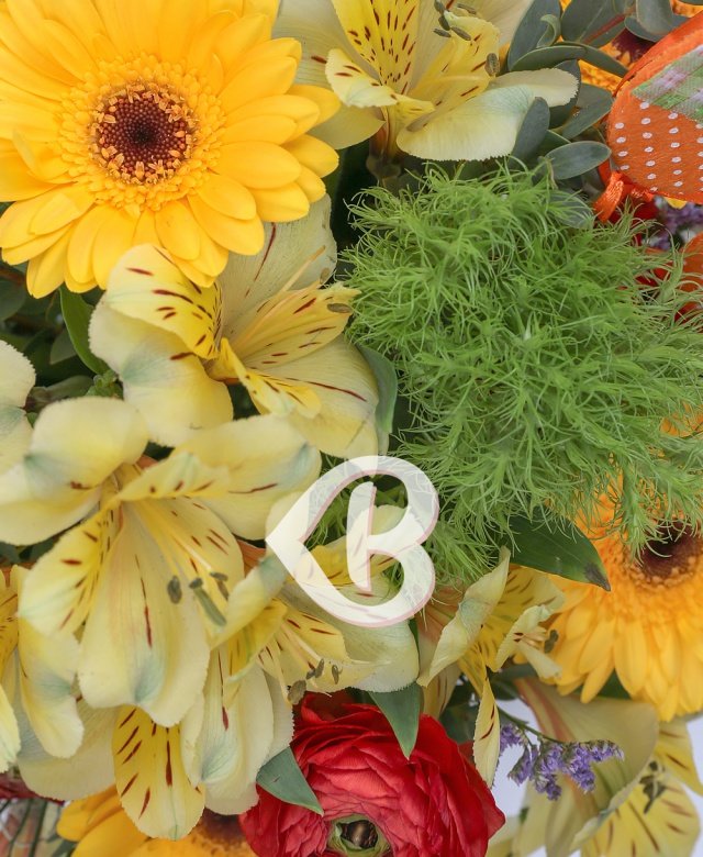 Imaginea produsului Prietenie Aurită