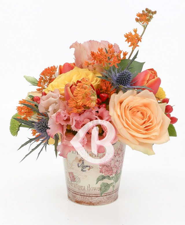 Imaginea produsului Lumină Splendidă