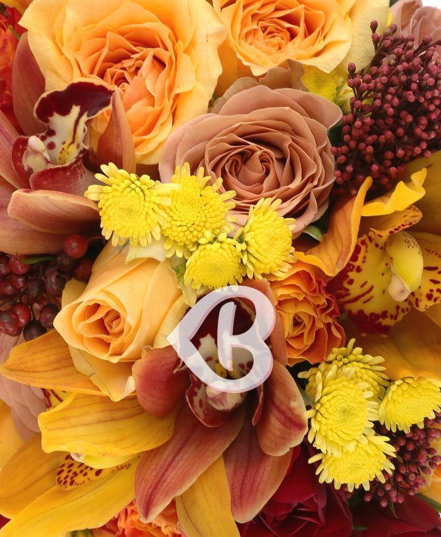 Imaginea produsului Bogăție Specială