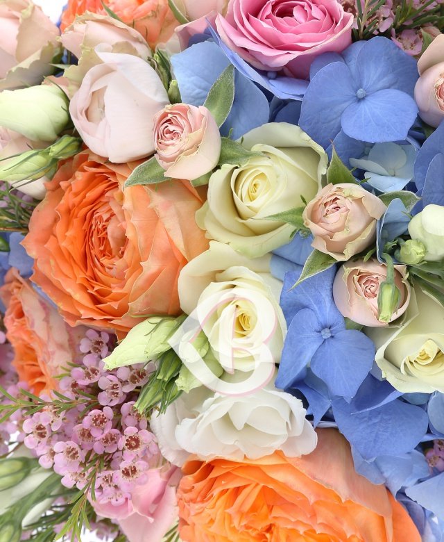 Imaginea produsului Frumusețe Deosebită