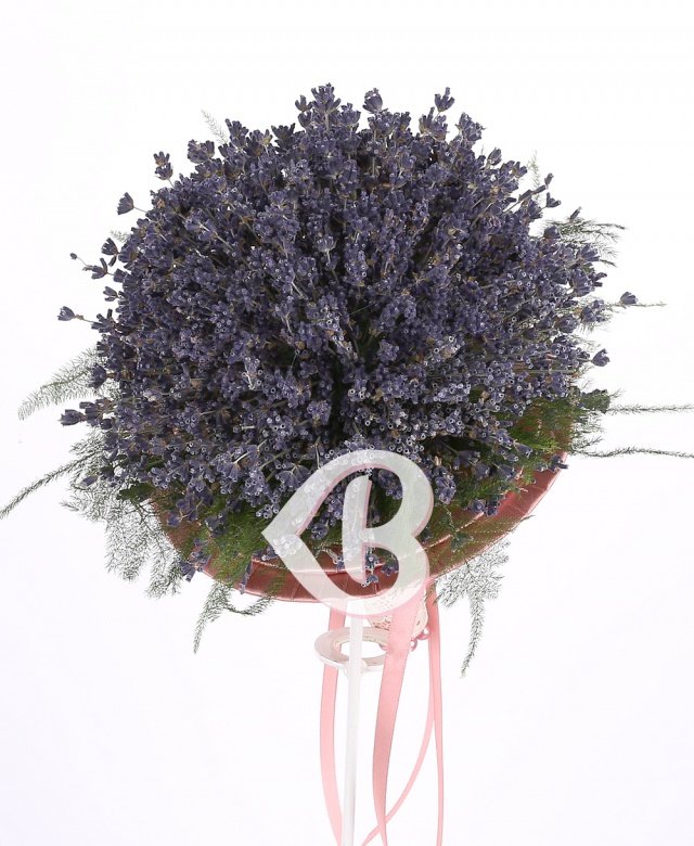 Imaginea produsului Roi De Stele