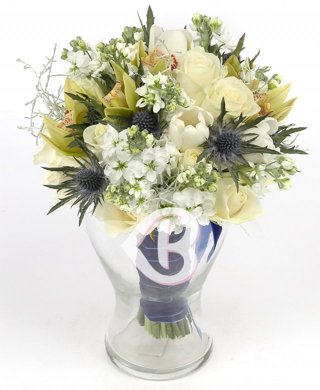 Imaginea produsului Minuni Strălucitoare