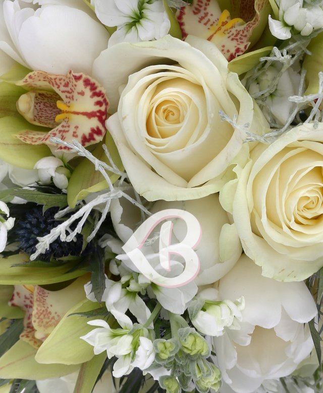 Imaginea produsului Minuni Strălucitoare