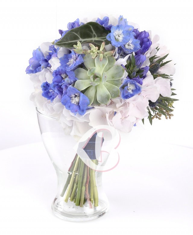 Imaginea produsului înțelegere Deplină