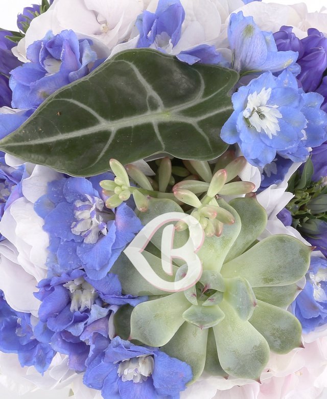 Imaginea produsului înțelegere Deplină