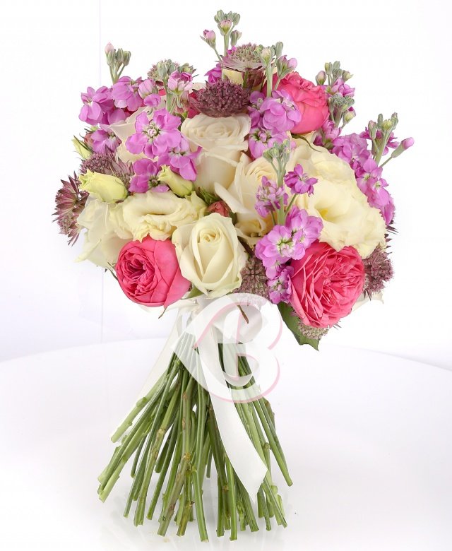 Imaginea produsului Afecțiune Elocventă