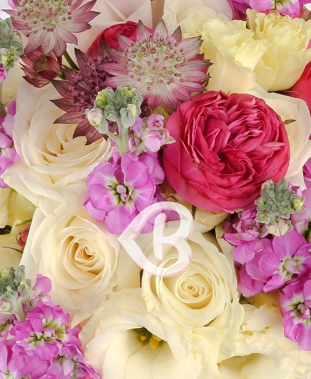 Imaginea produsului Afecțiune Elocventă