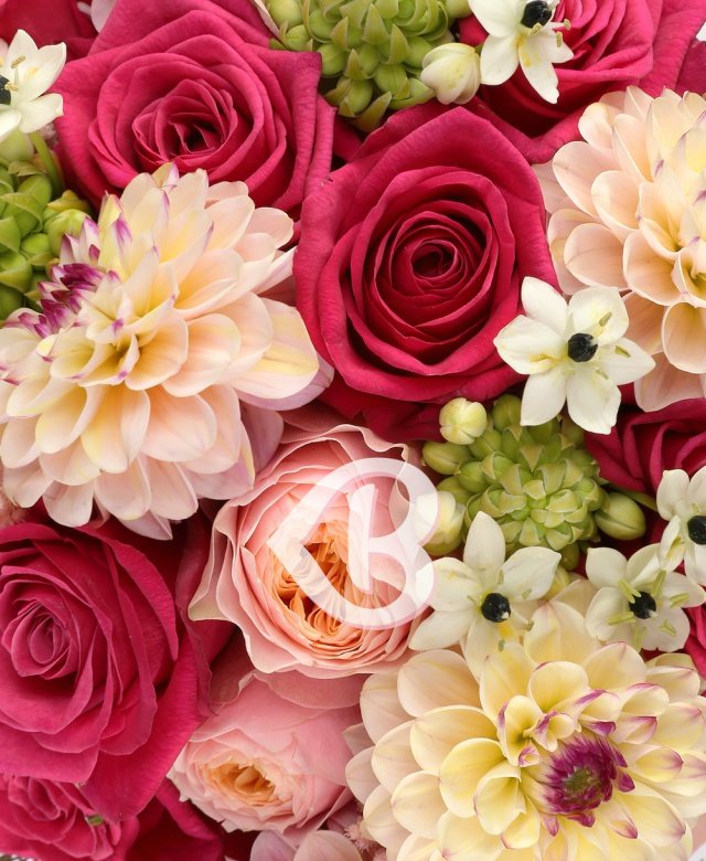 Imaginea produsului Splendoare De Neuitat