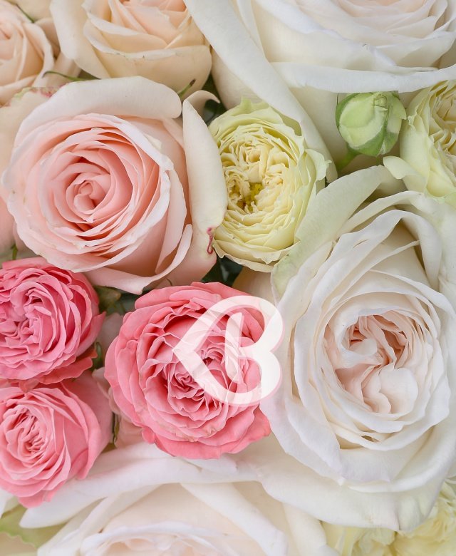 Imaginea produsului Poezie De Lumină