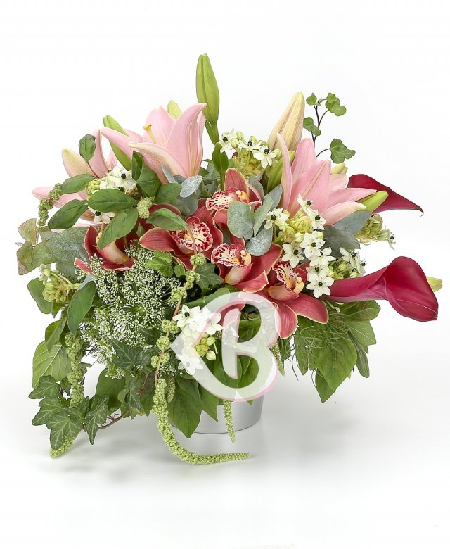 Imaginea produsului Adevărată Eleganță