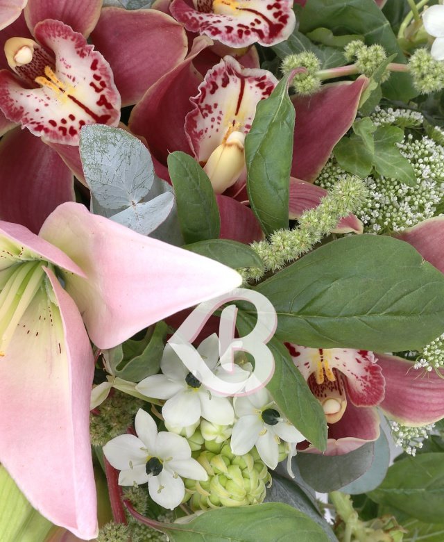 Imaginea produsului Adevărată Eleganță