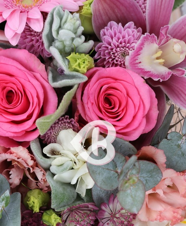 Imaginea produsului Fericire Fără Cuvinte