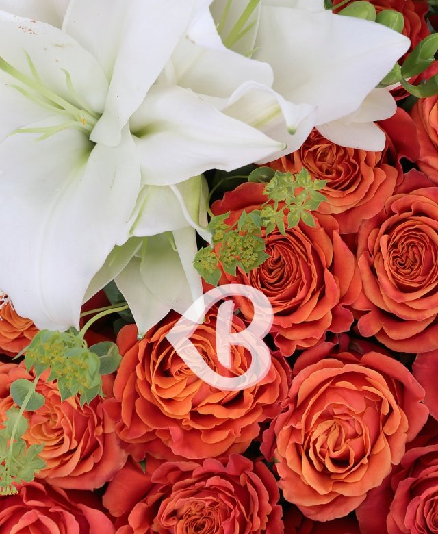 Imaginea produsului Dor De Tine