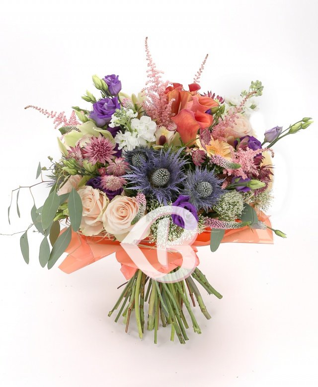 Imaginea produsului Splendoare Carismatică