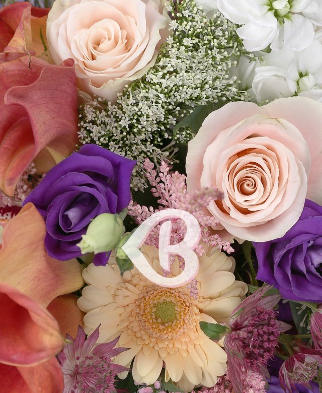 Imaginea produsului Splendoare Carismatică