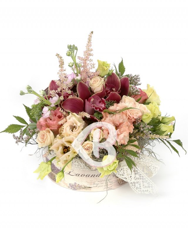 Imaginea produsului Grație Deosebită