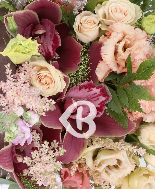 Imaginea produsului Grație Deosebită