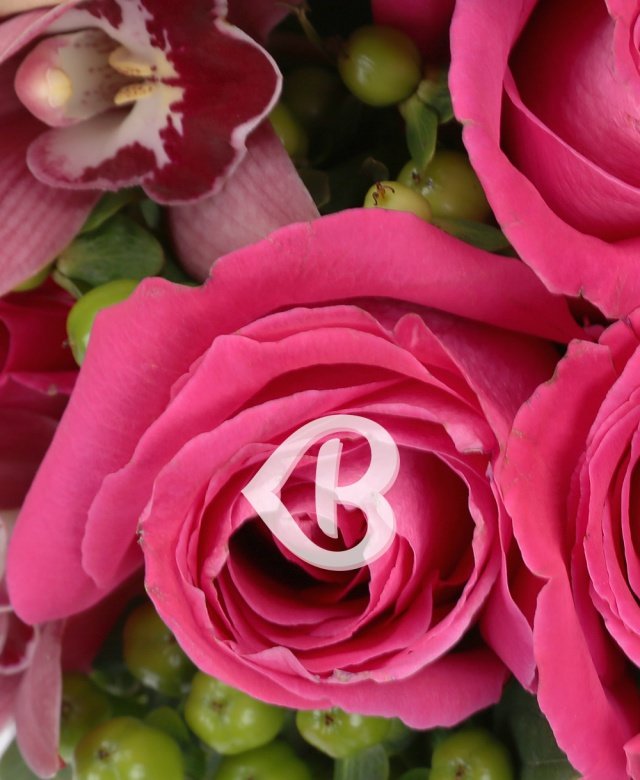 Imaginea produsului Speranțe Roz