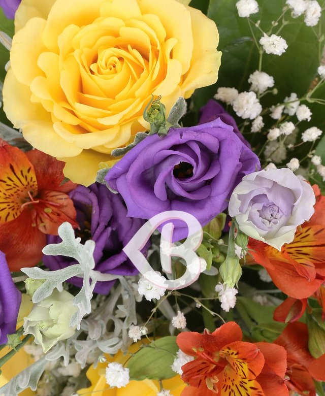 Imaginea produsului Farmec Multicolor