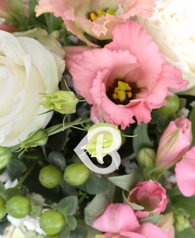 Imaginea produsului Gentilețe