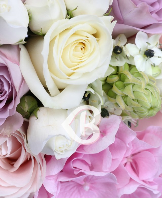 Imaginea produsului Emoții Delicate