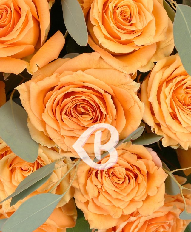 Imaginea produsului 31 Trandafiri Portocalii în Cutie