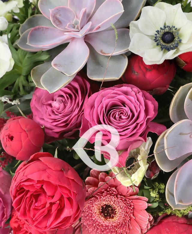 Imaginea produsului Amabilitate Extraordinară