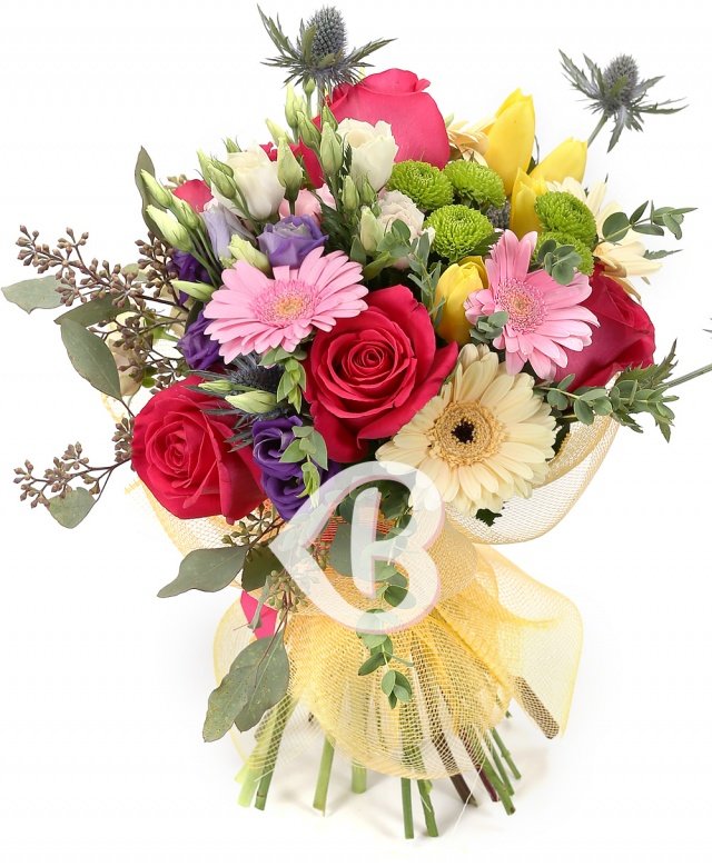 Imaginea produsului Veselie Colorată