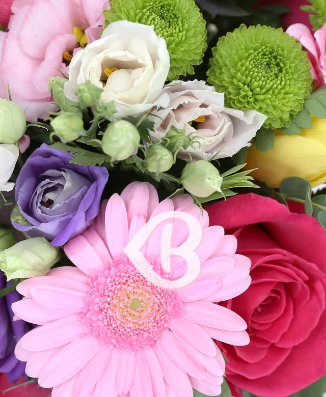 Imaginea produsului Veselie Colorată