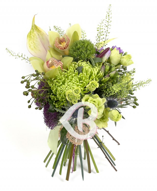 Imaginea produsului Egalitate Cromatică