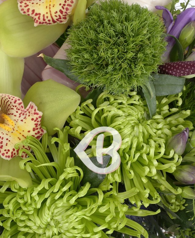 Imaginea produsului Egalitate Cromatică