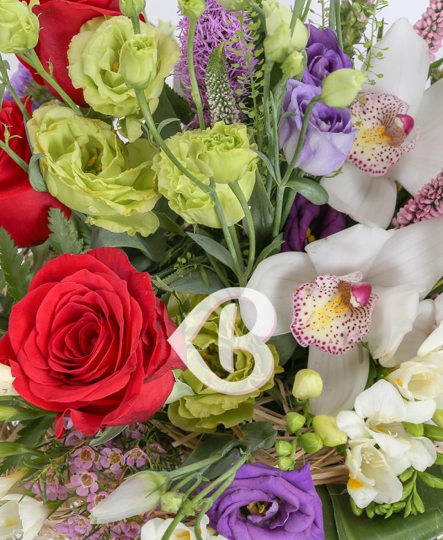 Imaginea produsului Simfonia Emoțiilor