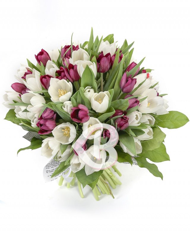 Imaginea produsului Eleganță Admirabilă