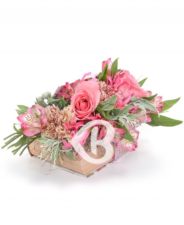 Imaginea produsului Frumusețe Nescrisă