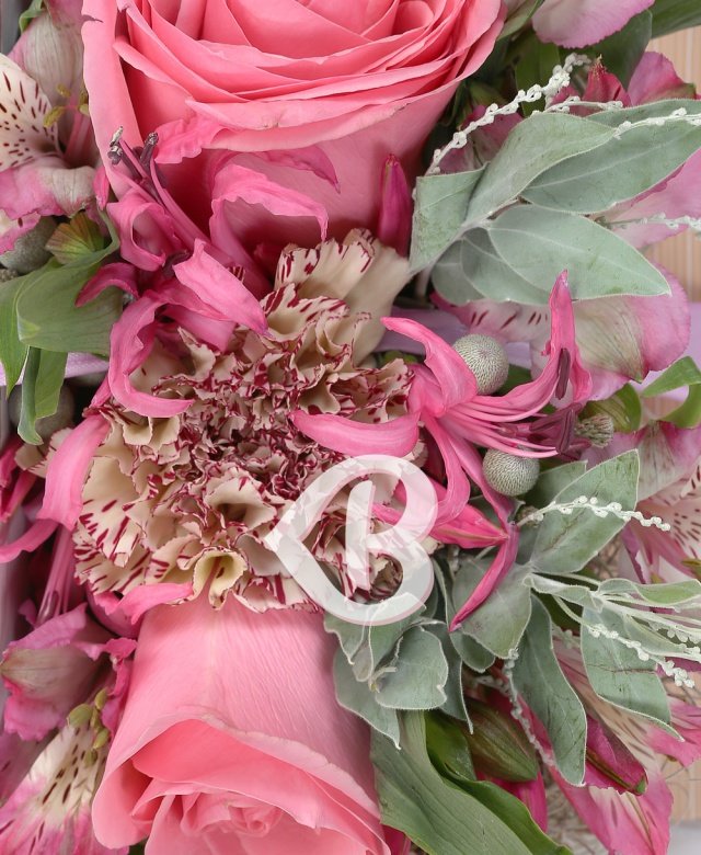 Imaginea produsului Frumusețe Nescrisă