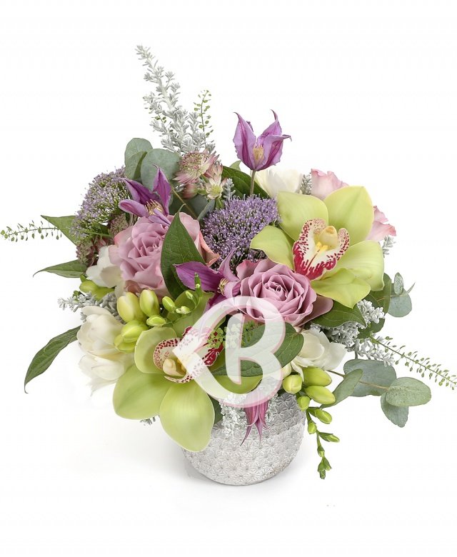 Imaginea produsului Aluzie La Delicatețe