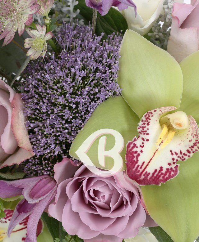 Imaginea produsului Aluzie La Delicatețe