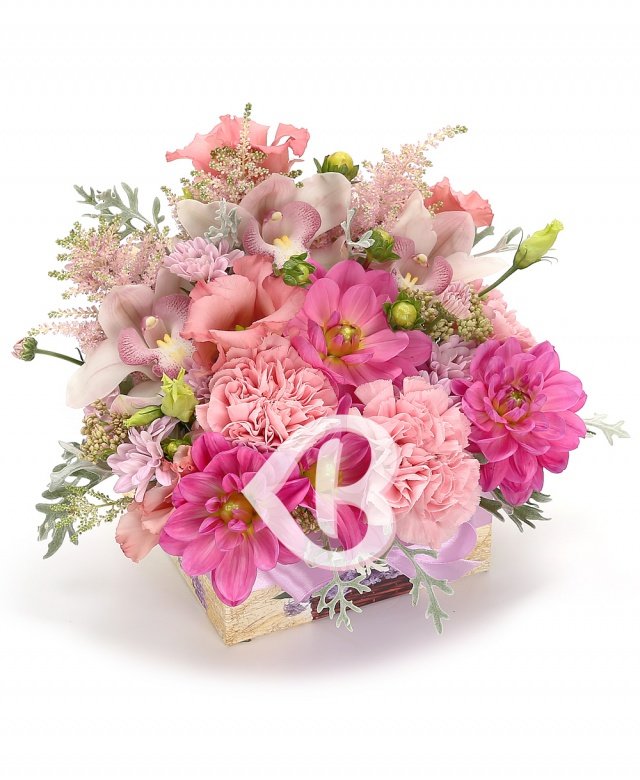 Imaginea produsului Delicatețe Eleganță