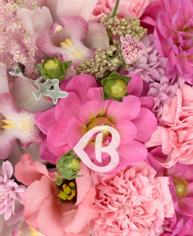 Imaginea produsului Delicatețe Eleganță