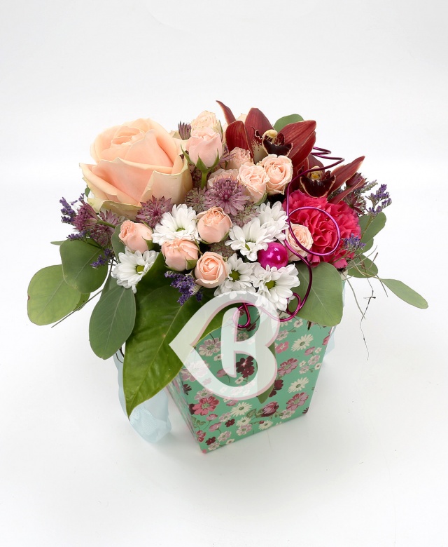 Imaginea produsului Rafinament Gingaș