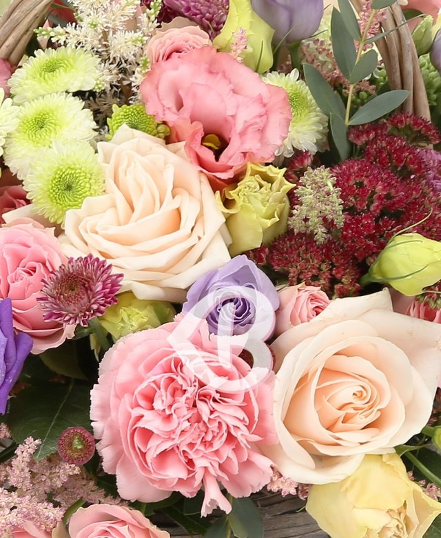 Imaginea produsului Bunăvoință Strălucitoare