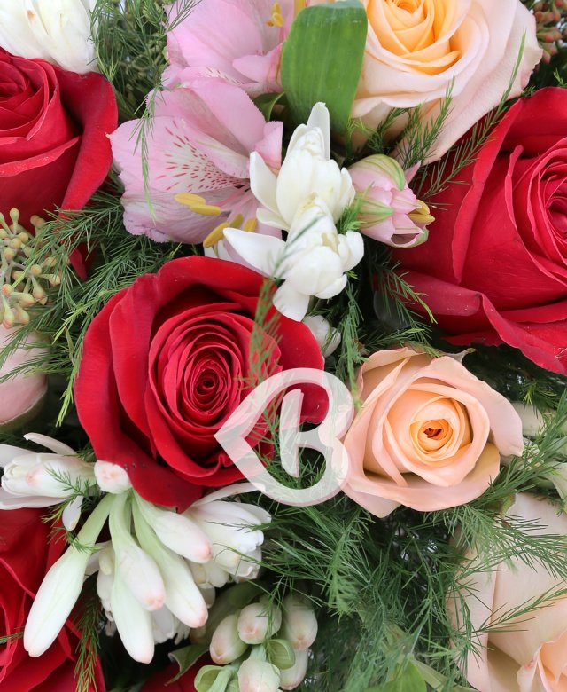 Imaginea produsului Afecțiune Intensă