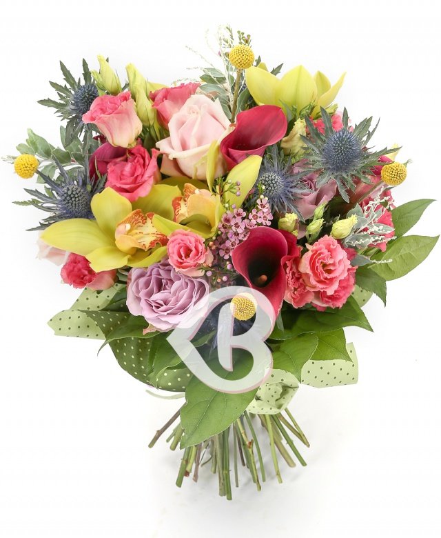 Imaginea produsului Pasiune Strălucitoare