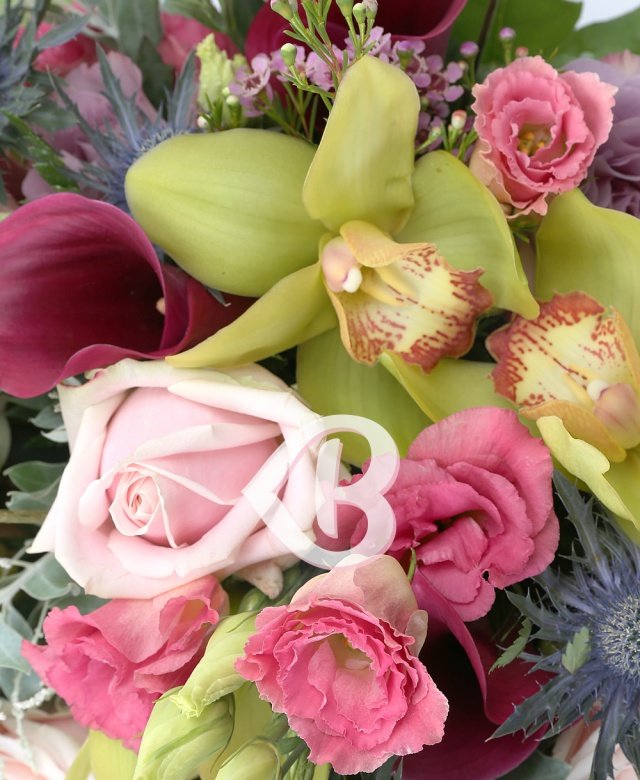 Imaginea produsului Pasiune Strălucitoare