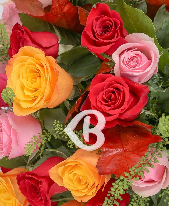 Imaginea produsului 31 Trandafiri Multicolori