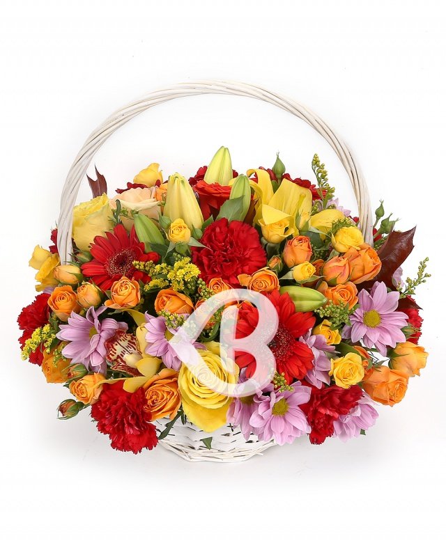 Imaginea produsului Frumusețe Infinită