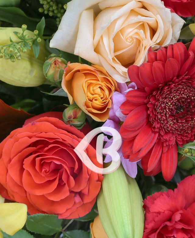 Imaginea produsului Frumusețe Infinită