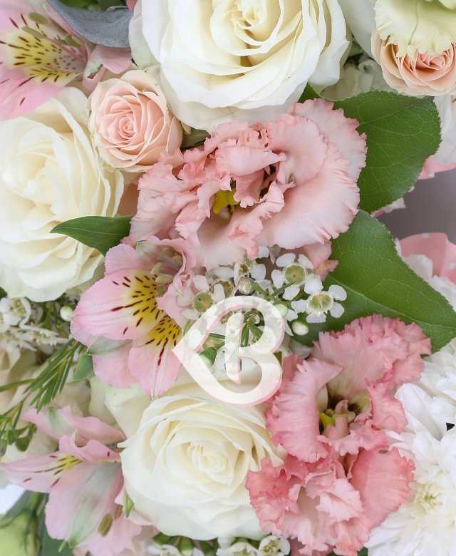 Imaginea produsului Sinceritate Eternă