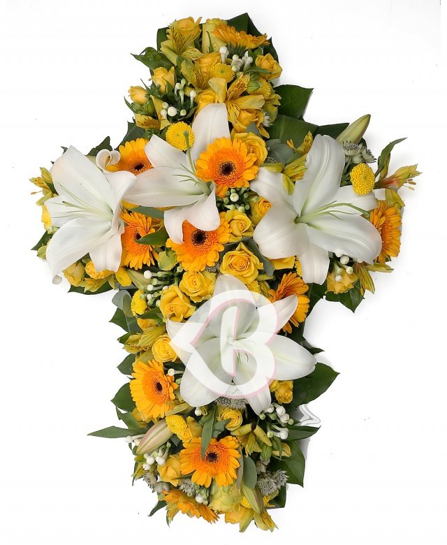 Imaginea produsului Simpatii Eterne