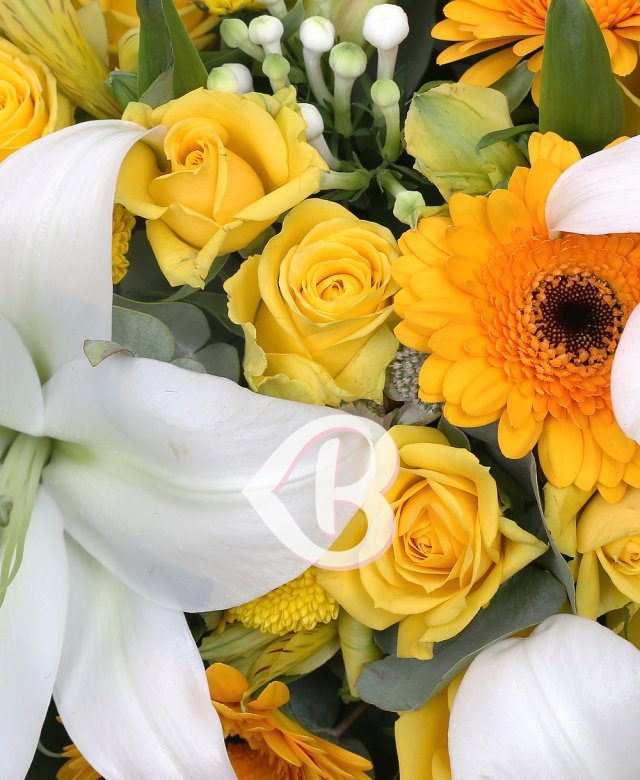 Imaginea produsului Simpatii Eterne